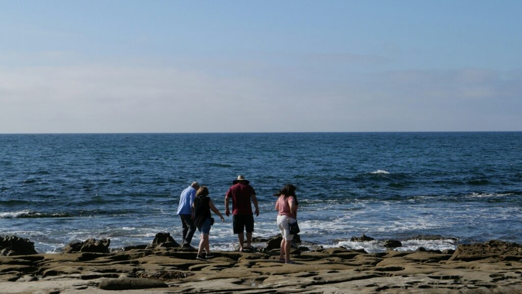 A group of people experience the seaside and interact with things. This is the element that human beings matters the most which able to interact with surroundings
